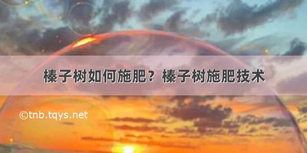 榛子树如何施肥？榛子树施肥技术