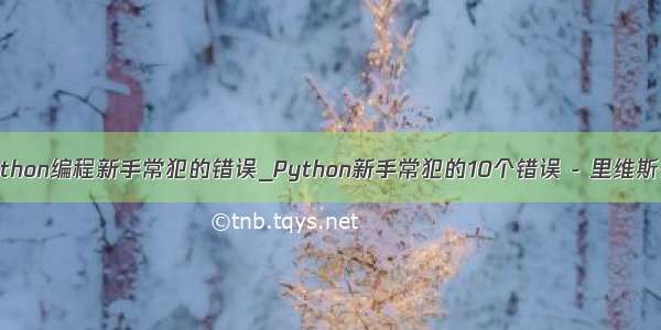 python编程新手常犯的错误_Python新手常犯的10个错误 - 里维斯社