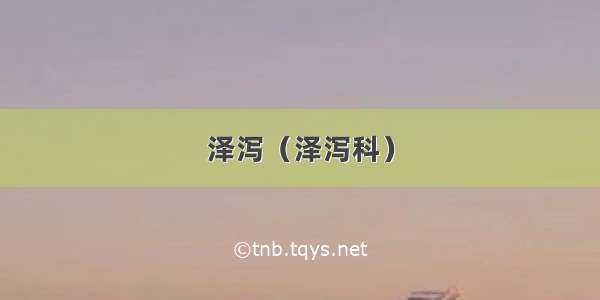 泽泻（泽泻科）