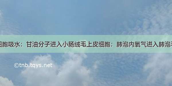 单选题根毛细胞吸水；甘油分子进入小肠绒毛上皮细胞；肺泡内氧气进入肺泡毛细血管；生