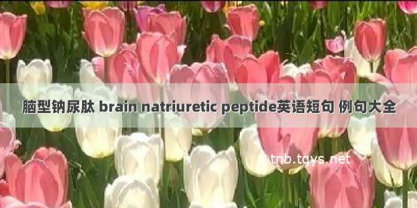 脑型钠尿肽 brain natriuretic peptide英语短句 例句大全