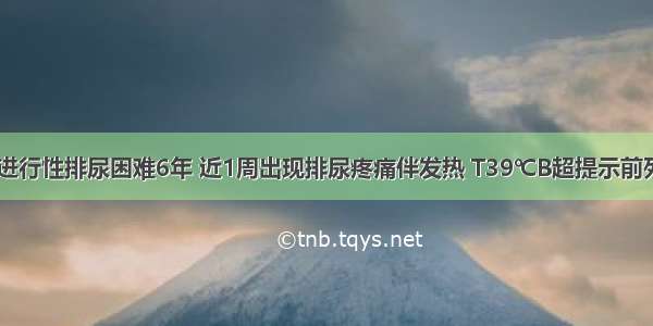 男 72岁。进行性排尿困难6年 近1周出现排尿疼痛伴发热 T39℃B超提示前列腺增大 残