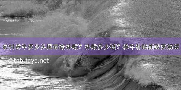 农村养牛多少头国家给补贴？补贴多少钱？养牛补贴新政策解读