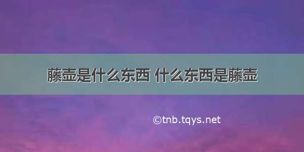 藤壶是什么东西 什么东西是藤壶