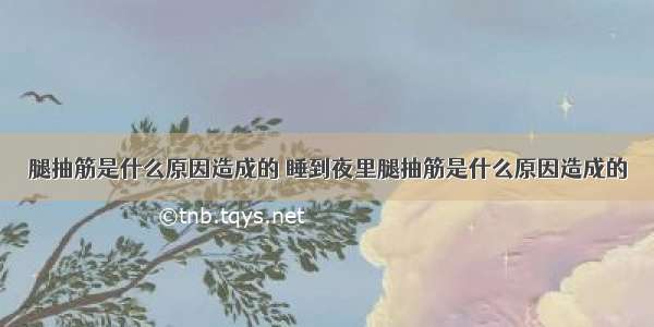 腿抽筋是什么原因造成的 睡到夜里腿抽筋是什么原因造成的