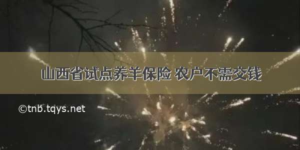 山西省试点养羊保险 农户不需交钱