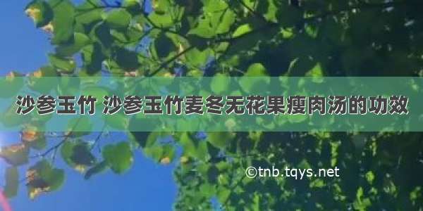 沙参玉竹 沙参玉竹麦冬无花果瘦肉汤的功效