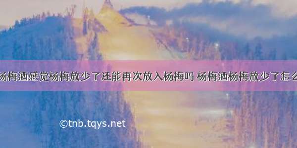 泡杨梅酒感觉杨梅放少了还能再次放入杨梅吗 杨梅酒杨梅放少了怎么办