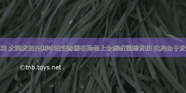 夏天 在森林里 太阳光经过树叶的空隙照在地面上会形成圆形光斑 这是由于光________