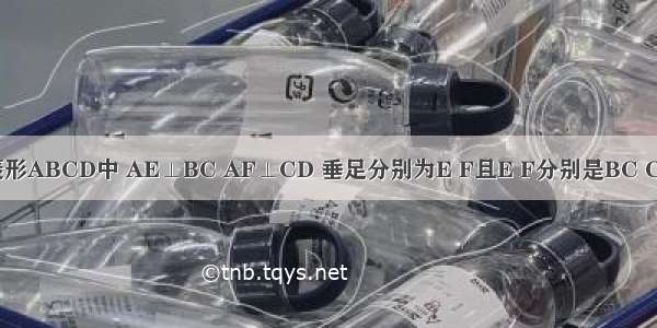 菱形ABCD中 AE⊥BC AF⊥CD 垂足分别为E F且E F分别是BC CD