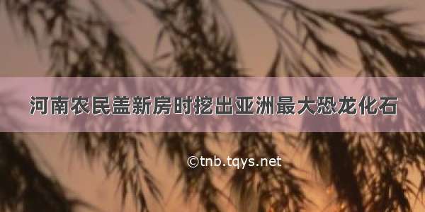 河南农民盖新房时挖出亚洲最大恐龙化石