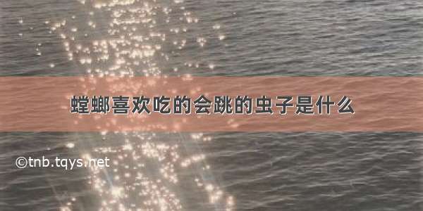 螳螂喜欢吃的会跳的虫子是什么