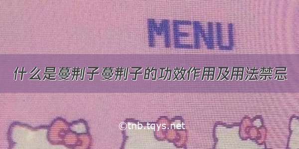 什么是蔓荆子蔓荆子的功效作用及用法禁忌