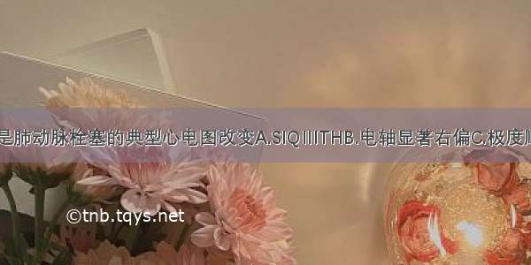 下面哪项不是肺动脉栓塞的典型心电图改变A.SIQⅢTHB.电轴显著右偏C.极度顺时针转位D.