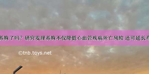 你养狗了吗？研究发现养狗不仅降低心血管疾病死亡风险 还可延长寿命