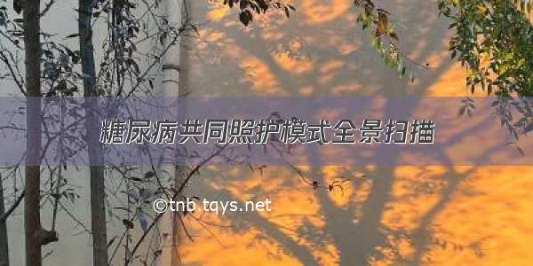 糖尿病共同照护模式全景扫描