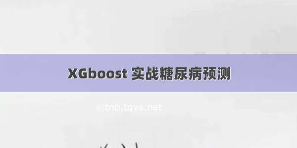 XGboost 实战糖尿病预测