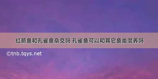 红箭鱼和孔雀鱼杂交吗 孔雀鱼可以和其它鱼类混养吗