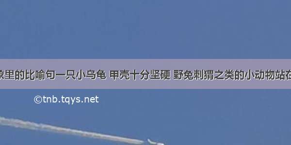 乌龟与大象里的比喻句一只小乌龟 甲壳十分坚硬 野兔刺猬之类的小动物站在它身上 不