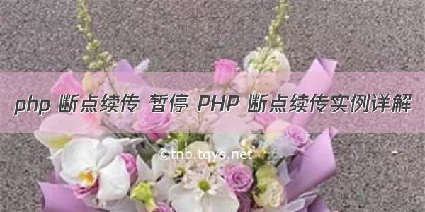 php 断点续传 暂停 PHP 断点续传实例详解