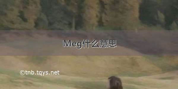 Meg什么意思