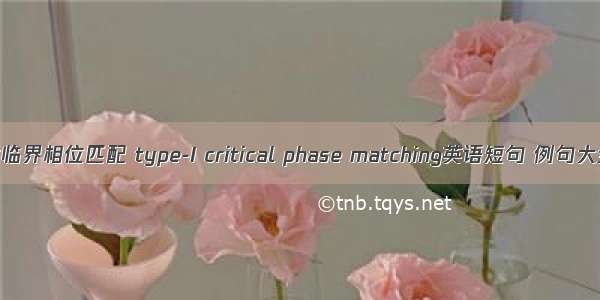 I类临界相位匹配 type-I critical phase matching英语短句 例句大全