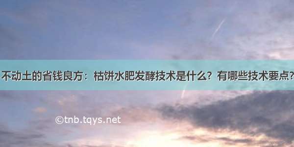 不动土的省钱良方：枯饼水肥发酵技术是什么？有哪些技术要点？