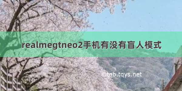 realmegtneo2手机有没有盲人模式