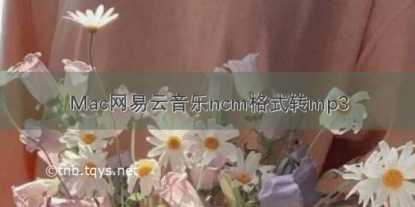 Mac网易云音乐ncm格式转mp3