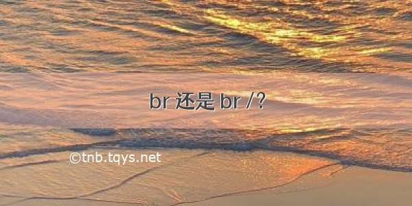 br 还是 br /？