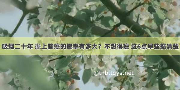 吸烟二十年 患上肺癌的概率有多大？不想得癌 这6点早些搞清楚