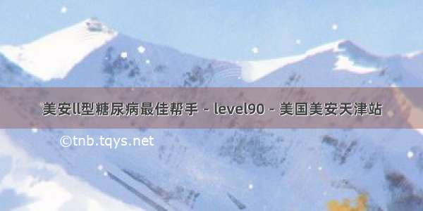 美安ll型糖尿病最佳帮手－level90－美国美安天津站