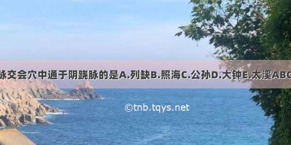 八脉交会穴中通于阴跷脉的是A.列缺B.照海C.公孙D.大钟E.太溪ABCDE