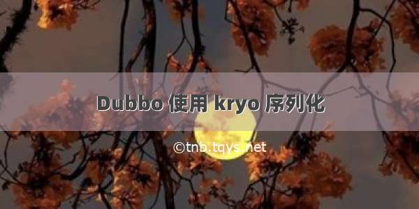 Dubbo 使用 kryo 序列化