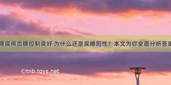 糖尿病血糖控制良好 为什么还是尿糖阳性？本文为你全面分析答案