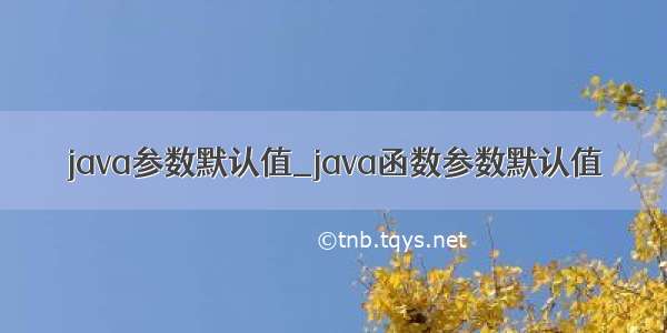 java参数默认值_java函数参数默认值
