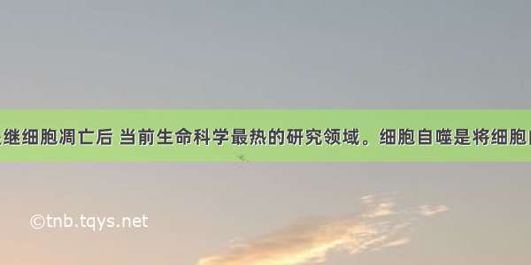 细胞自噬是继细胞凋亡后 当前生命科学最热的研究领域。细胞自噬是将细胞内受损 变性