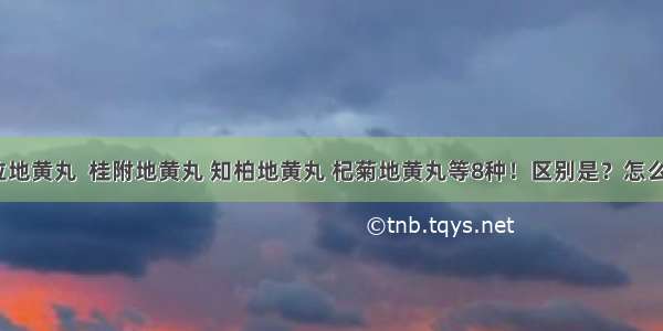 六位地黄丸  桂附地黄丸 知柏地黄丸 杞菊地黄丸等8种！区别是？怎么吃？