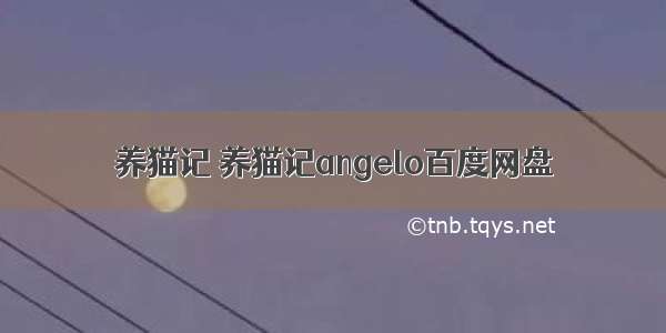 养猫记 养猫记angelo百度网盘