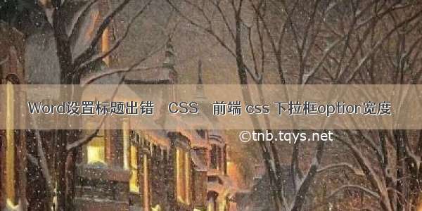 Word设置标题出错 – CSS – 前端 css 下拉框option宽度