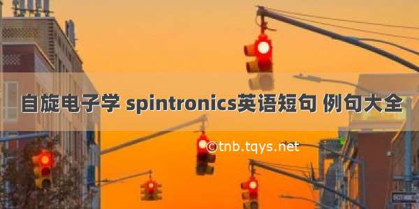 自旋电子学 spintronics英语短句 例句大全