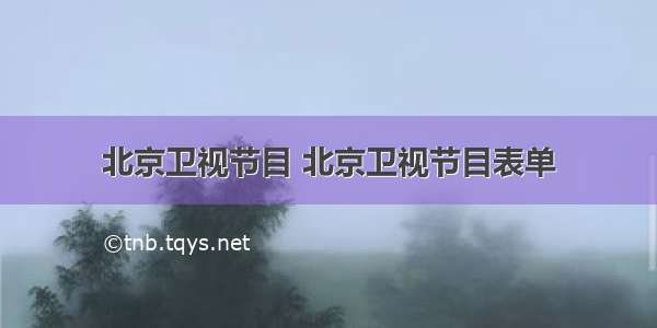 北京卫视节目 北京卫视节目表单