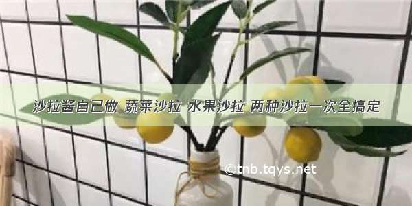 沙拉酱自己做 蔬菜沙拉 水果沙拉 两种沙拉一次全搞定