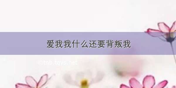 爱我我什么还要背叛我