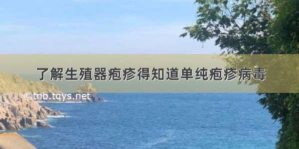 了解生殖器疱疹得知道单纯疱疹病毒