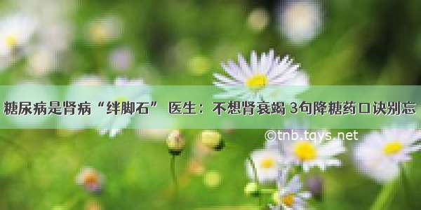 糖尿病是肾病“绊脚石” 医生：不想肾衰竭 3句降糖药口诀别忘