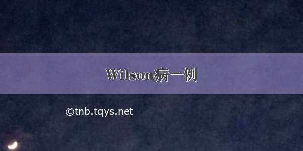 Wilson病一例