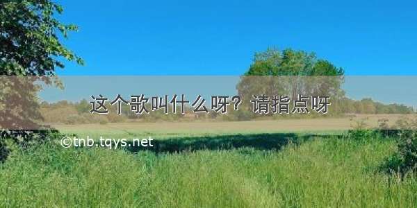 这个歌叫什么呀？请指点呀