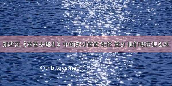 那些在《爸爸去哪儿》中的实习爸爸 邓伦 董力 他们现在怎么样