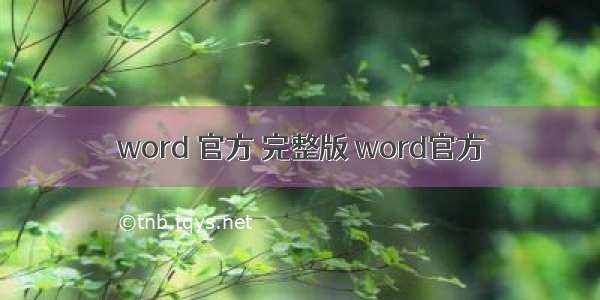 word 官方 完整版 word官方